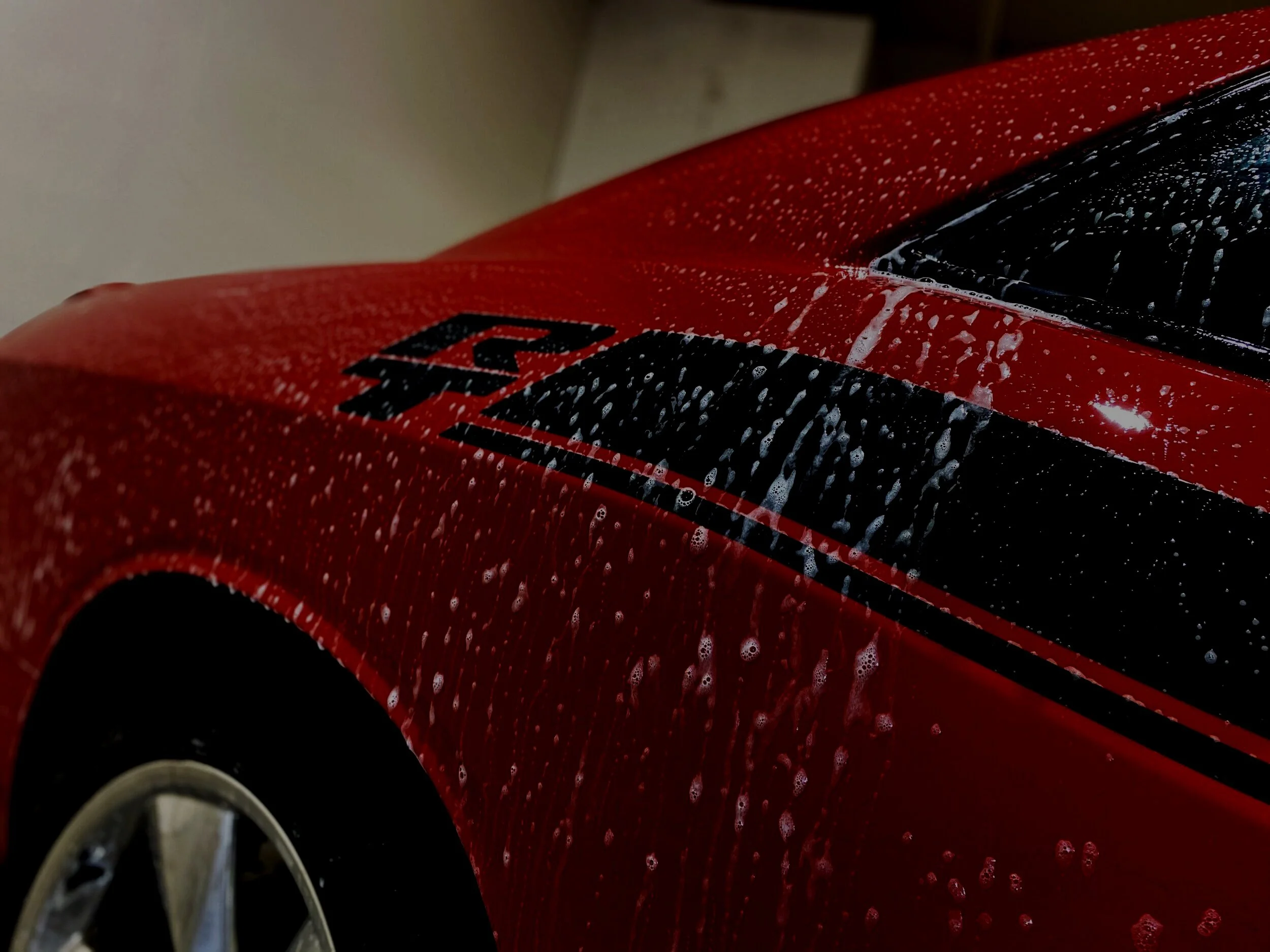 Palatine Auto Detail in Palatine, IL