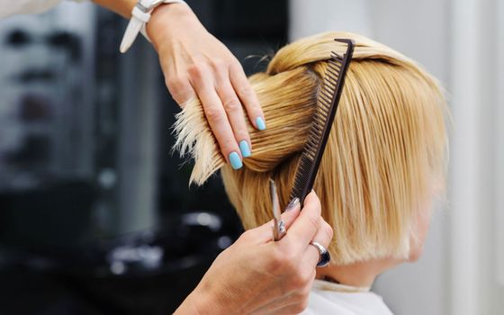 The Works Hair Salon LLC in Jefferson, WI (2)
