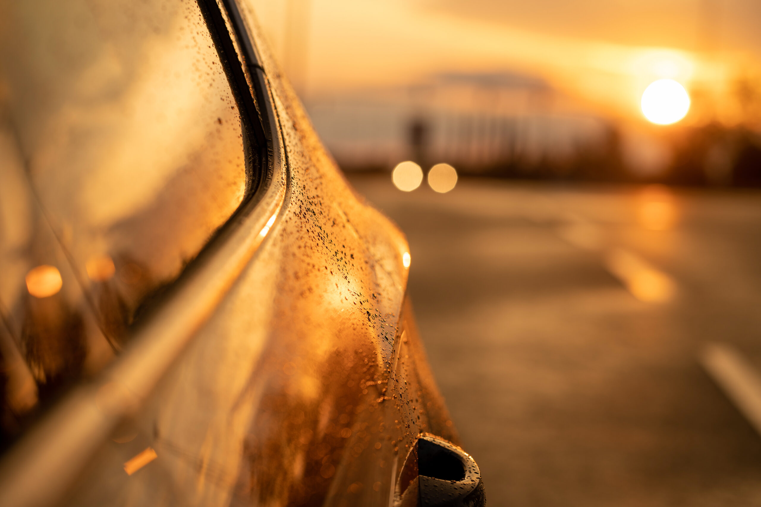 Prince's Mobile Detailing in St. Augustine, FL (4)
