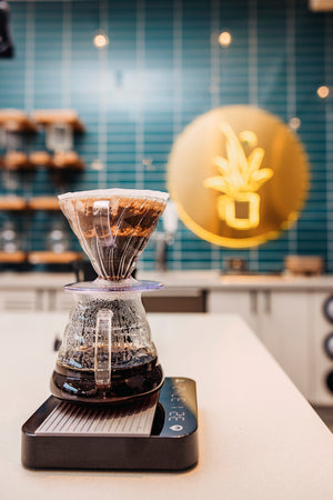 Succulent Coffee Roasters in Huntington Beach, CA (3)
