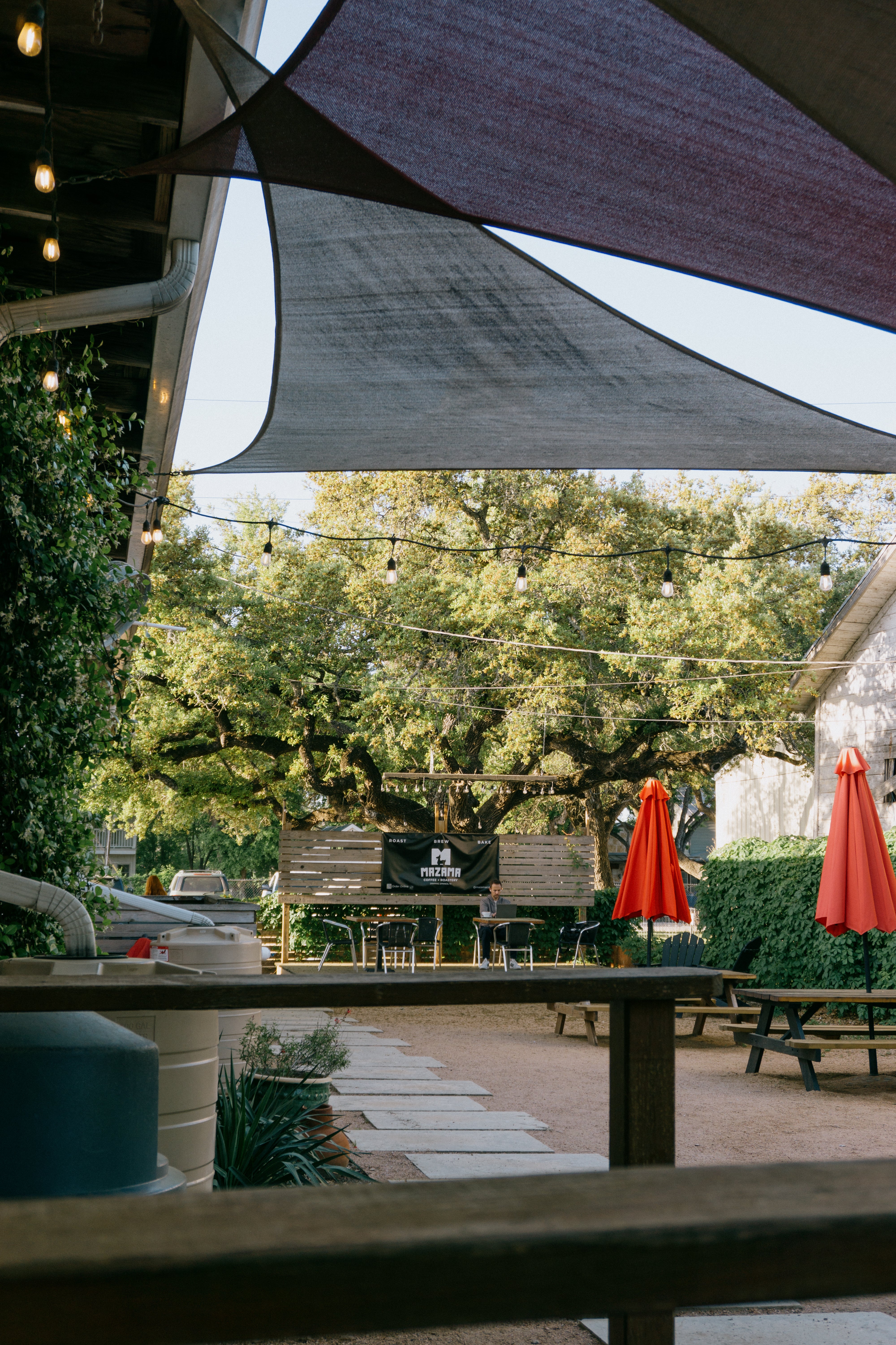 Mazama Coffee Co in Dripping Springs, TX