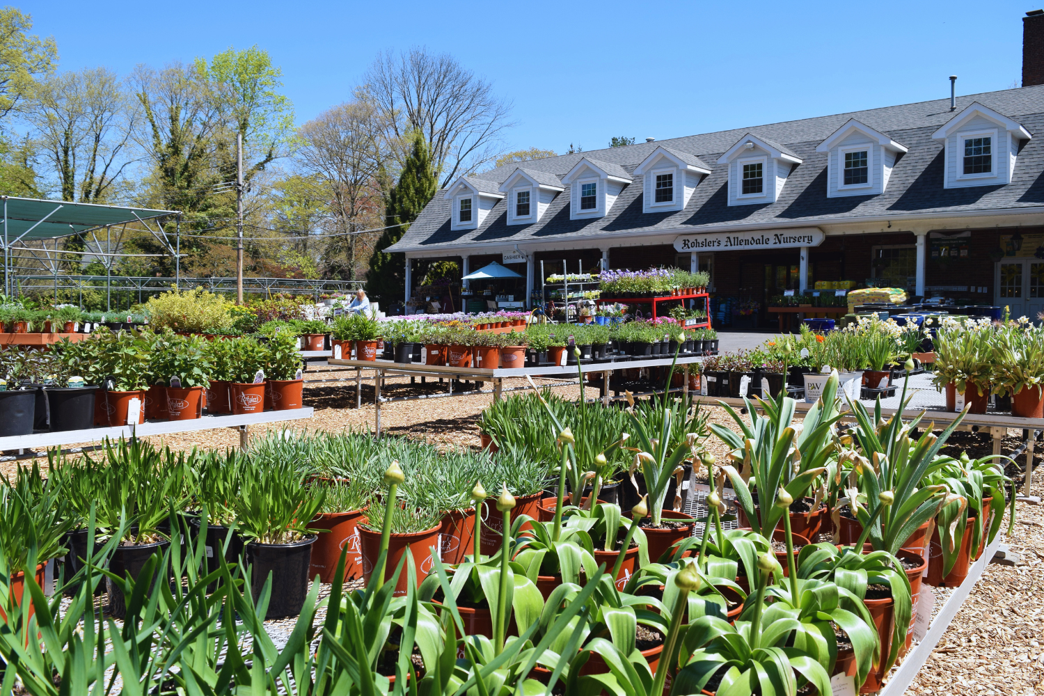 Rohsler's Allendale Nursery & Florist in Allendale, NJ