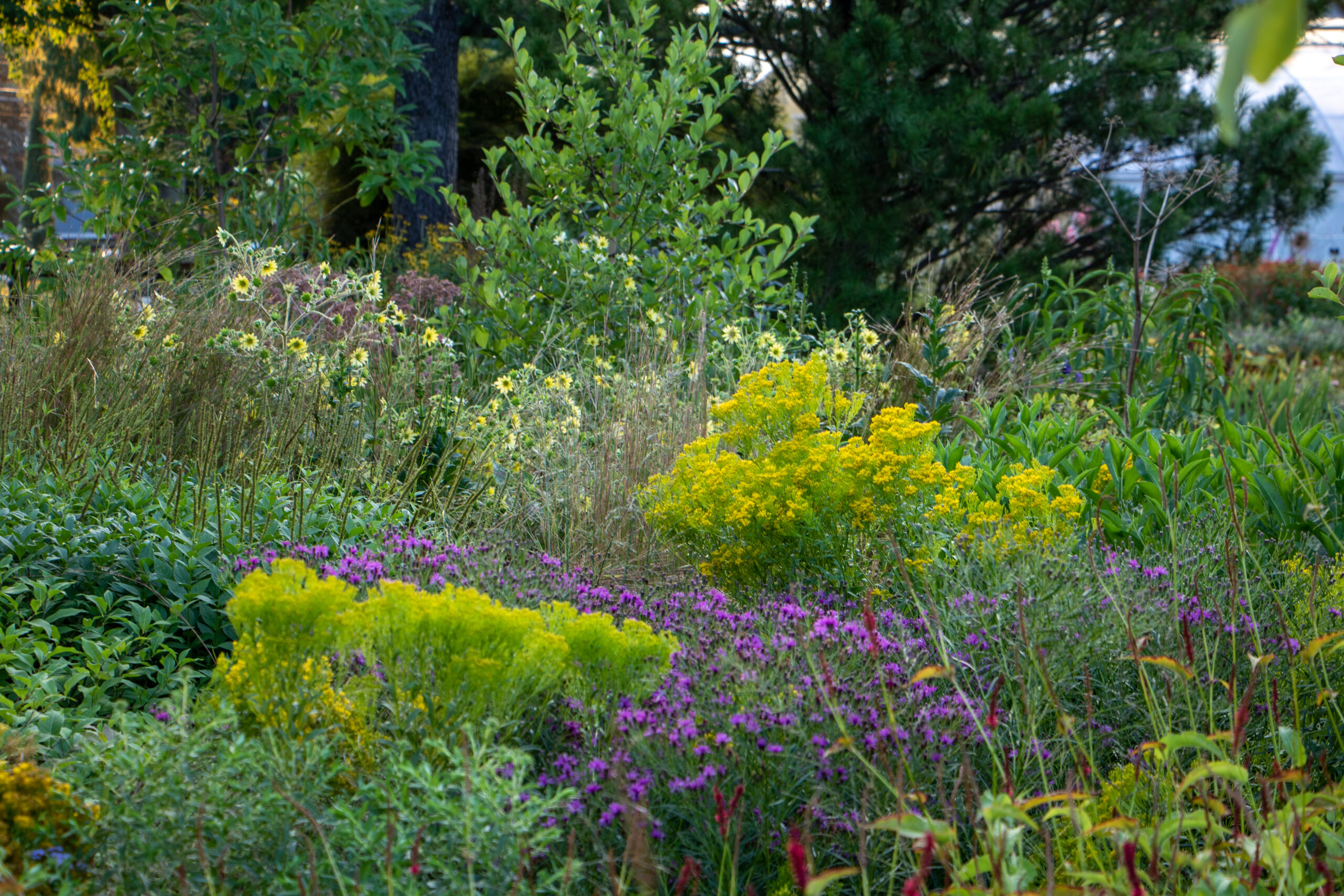 Rohsler's Allendale Nursery & Florist in Allendale, NJ (3)
