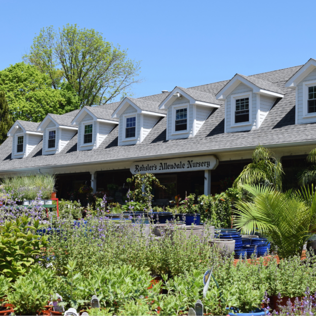 Rohsler's Allendale Nursery & Florist in Allendale, NJ (4)