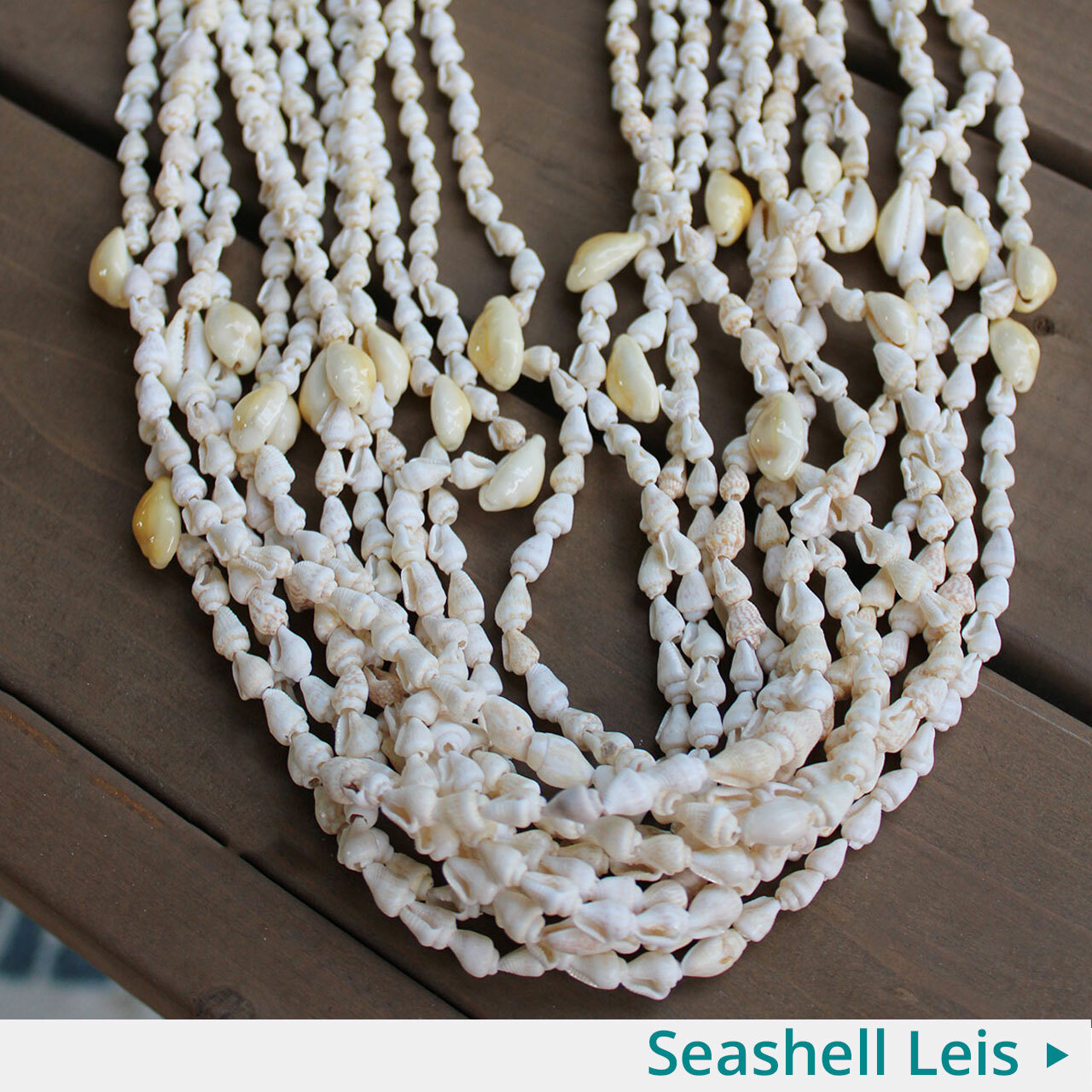 California Seashell Co Inc in Seal Beach, CA (4)
