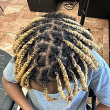 Rodas African Braids in Alexandria, VA (2)