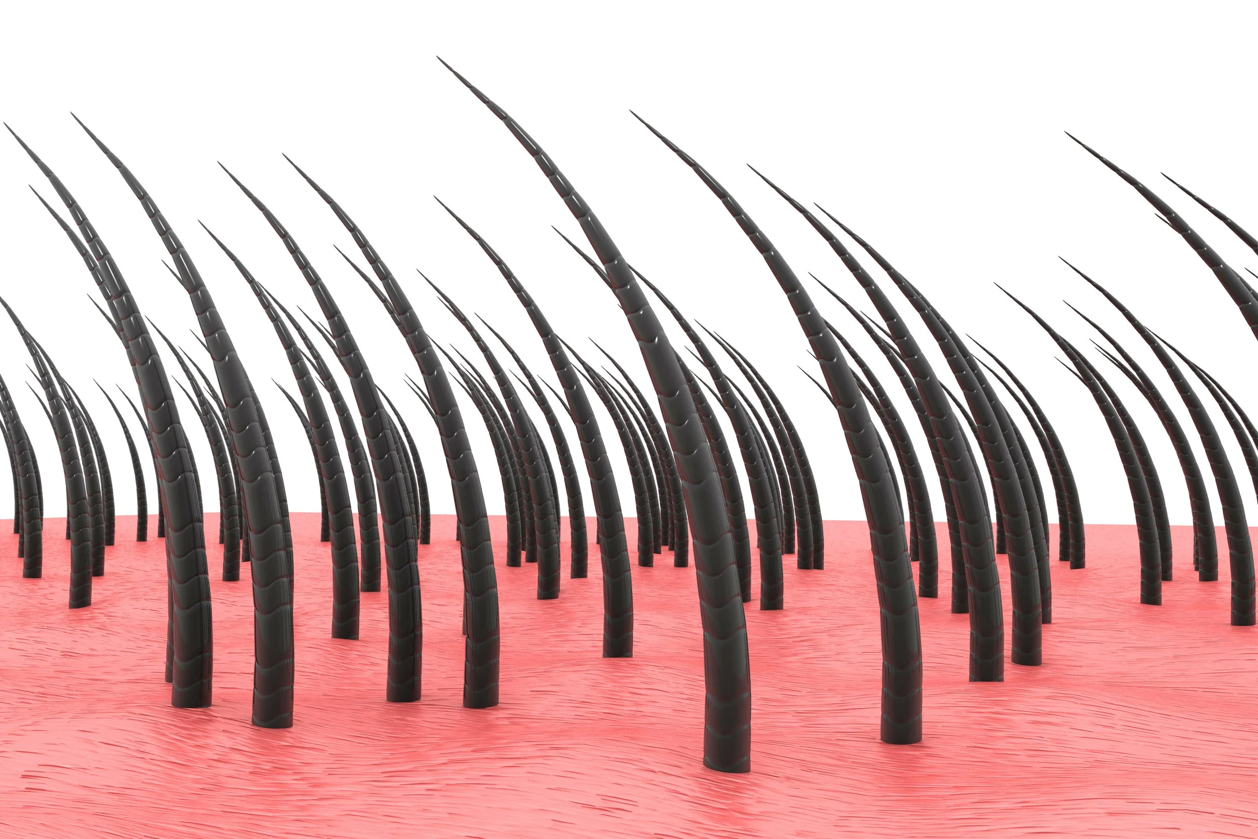 Advanced Hair Growth Clinic in Matthews, NC (4)