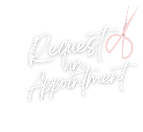Blondies Hair Studio in Avon, IN (5)