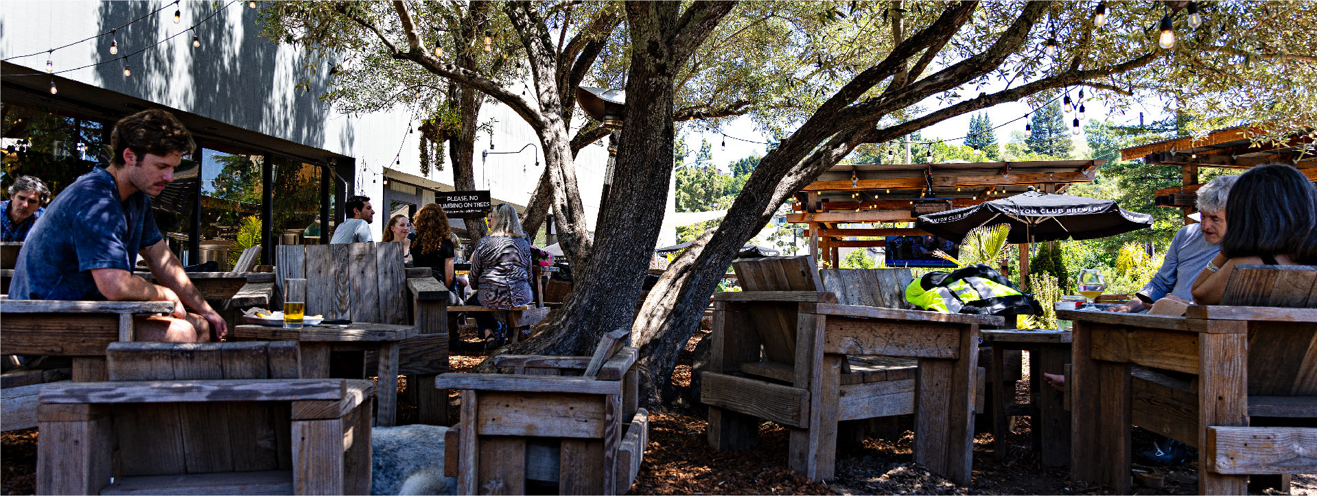 Canyon Club Brewery in Moraga, CA (2)