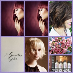 ShearBliss Salon in Glen Cove, NY (5)