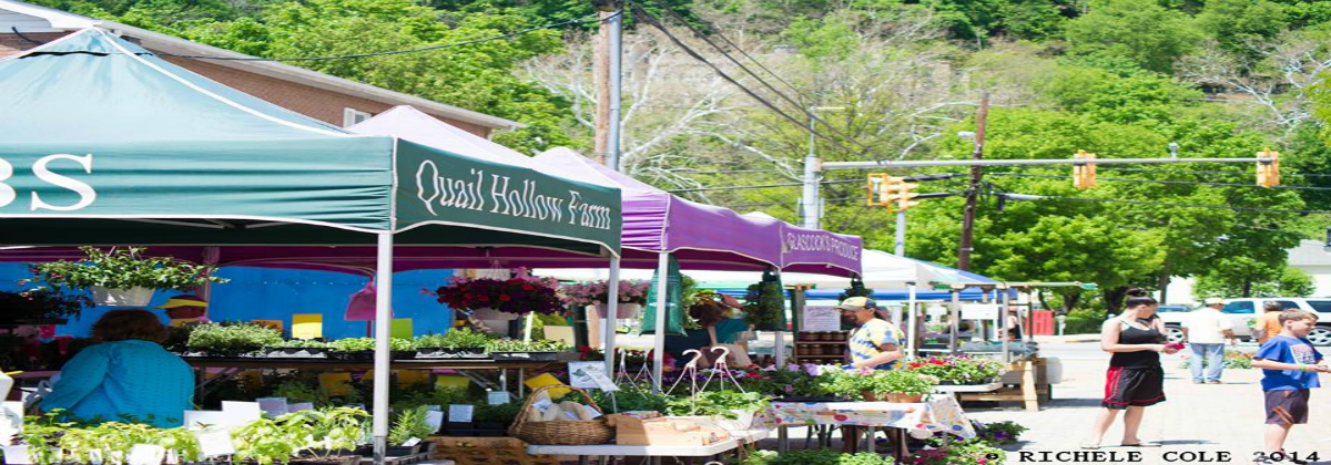 Berkeley Springs Farmers Market in Berkeley Springs, WV