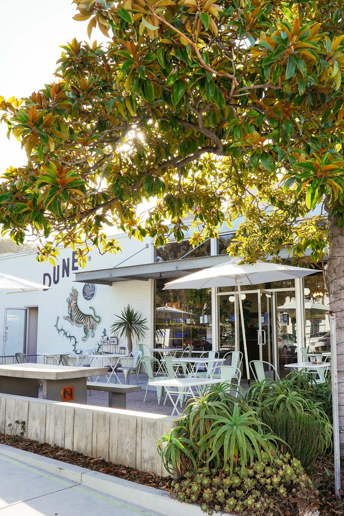 Dune Coffee Roasters in Goleta, CA (2)
