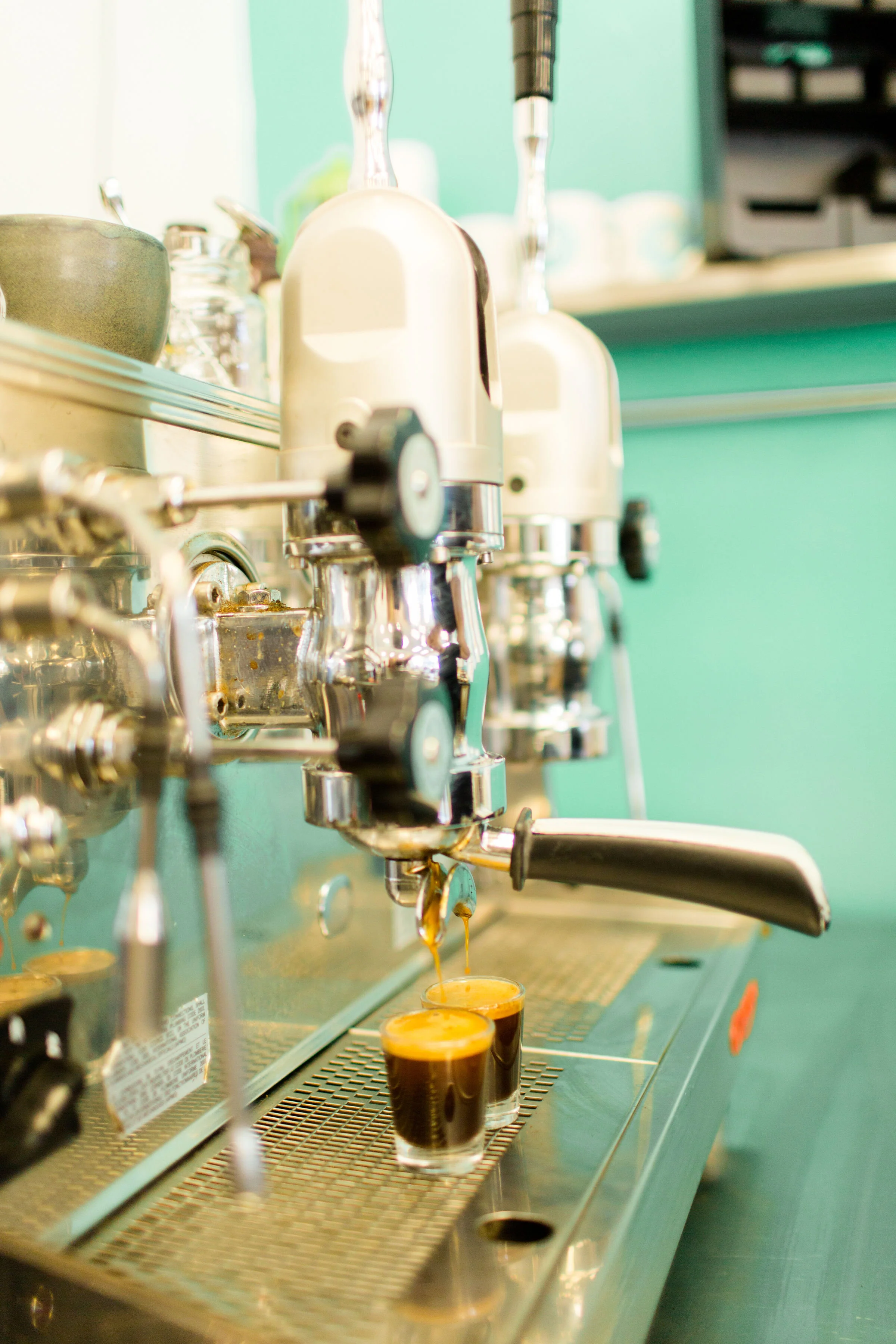 The Duck Coffee Company in Wichita Falls, TX