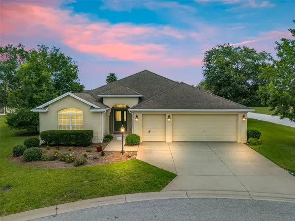 Debra L Martin - Realtor, RE/MAX Premier Realty in Wildwood, FL (3)