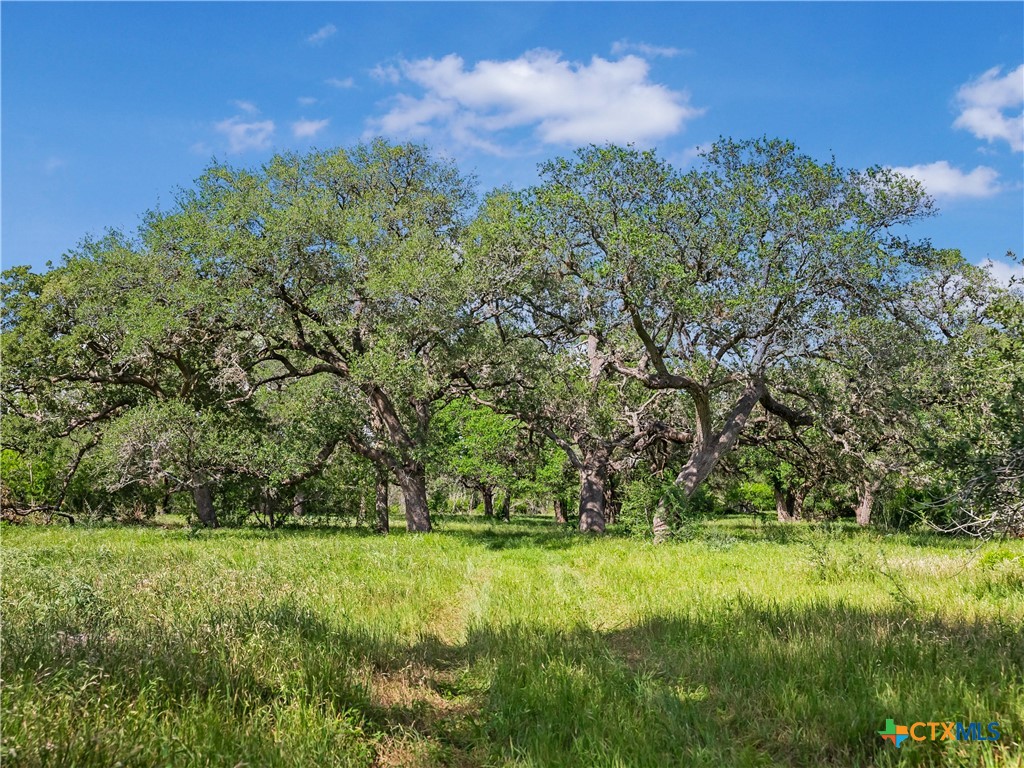 The Zaplac Group in Victoria, TX (3)