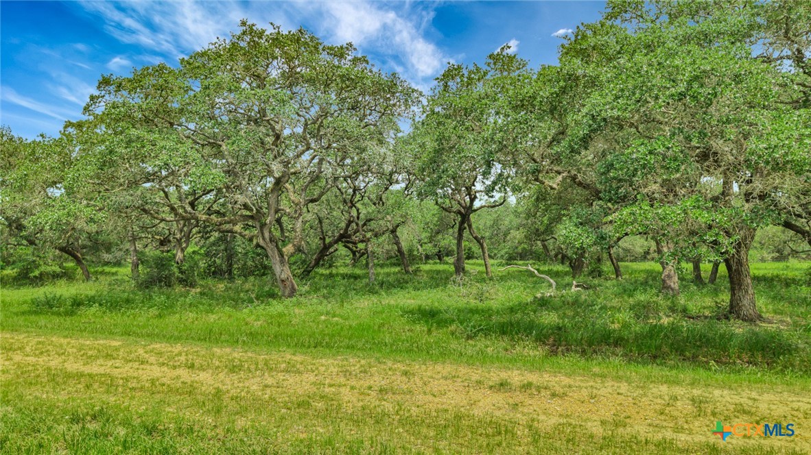 The Zaplac Group in Victoria, TX (4)