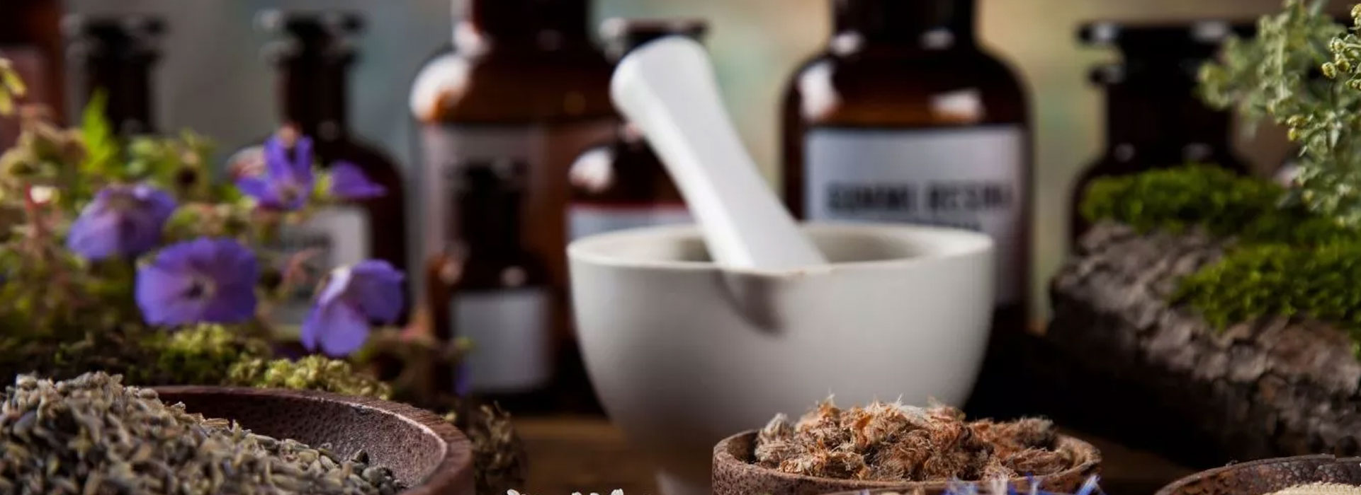 Roots Herbal Apothecary in Point Arena, CA (4)
