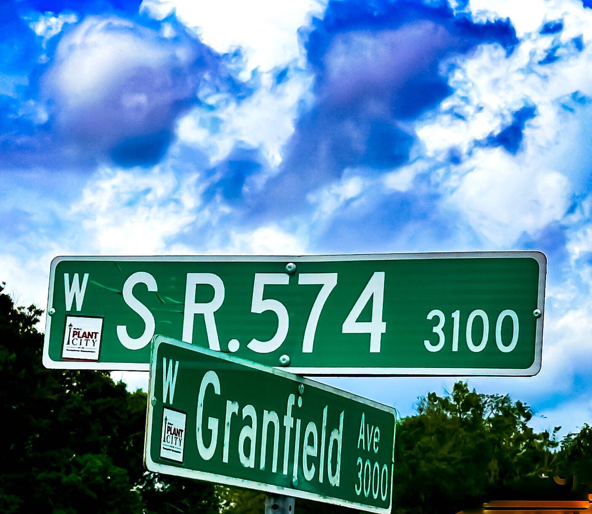Roney Auto Sales in Plant City, FL (2)