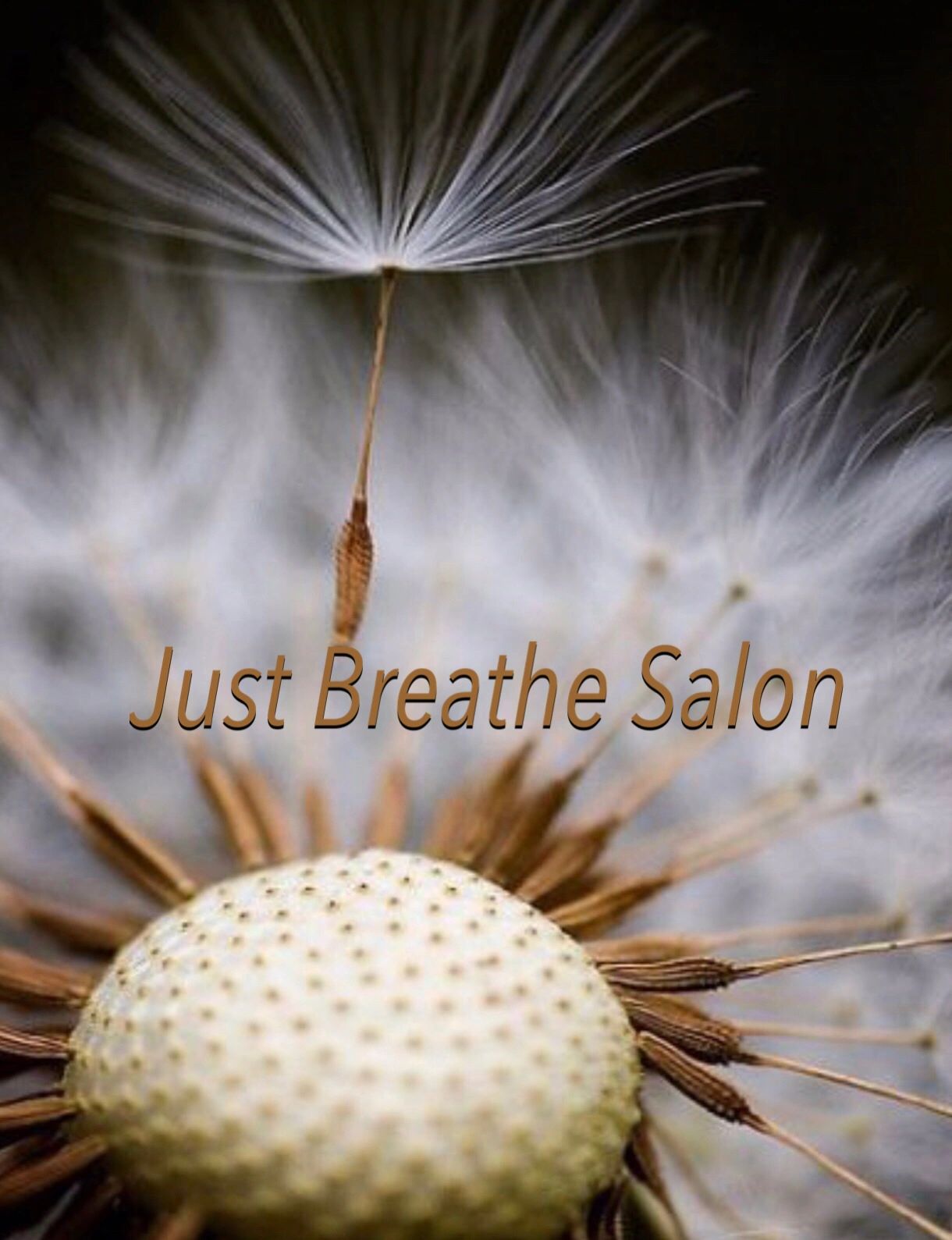 Just Breathe Salon in Placentia, CA