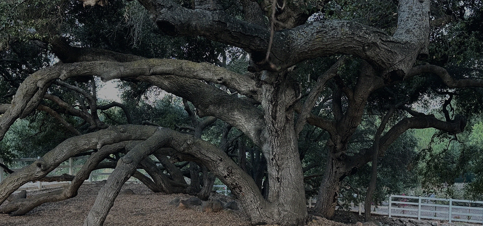 Casa Locé in Ojai, CA (4)