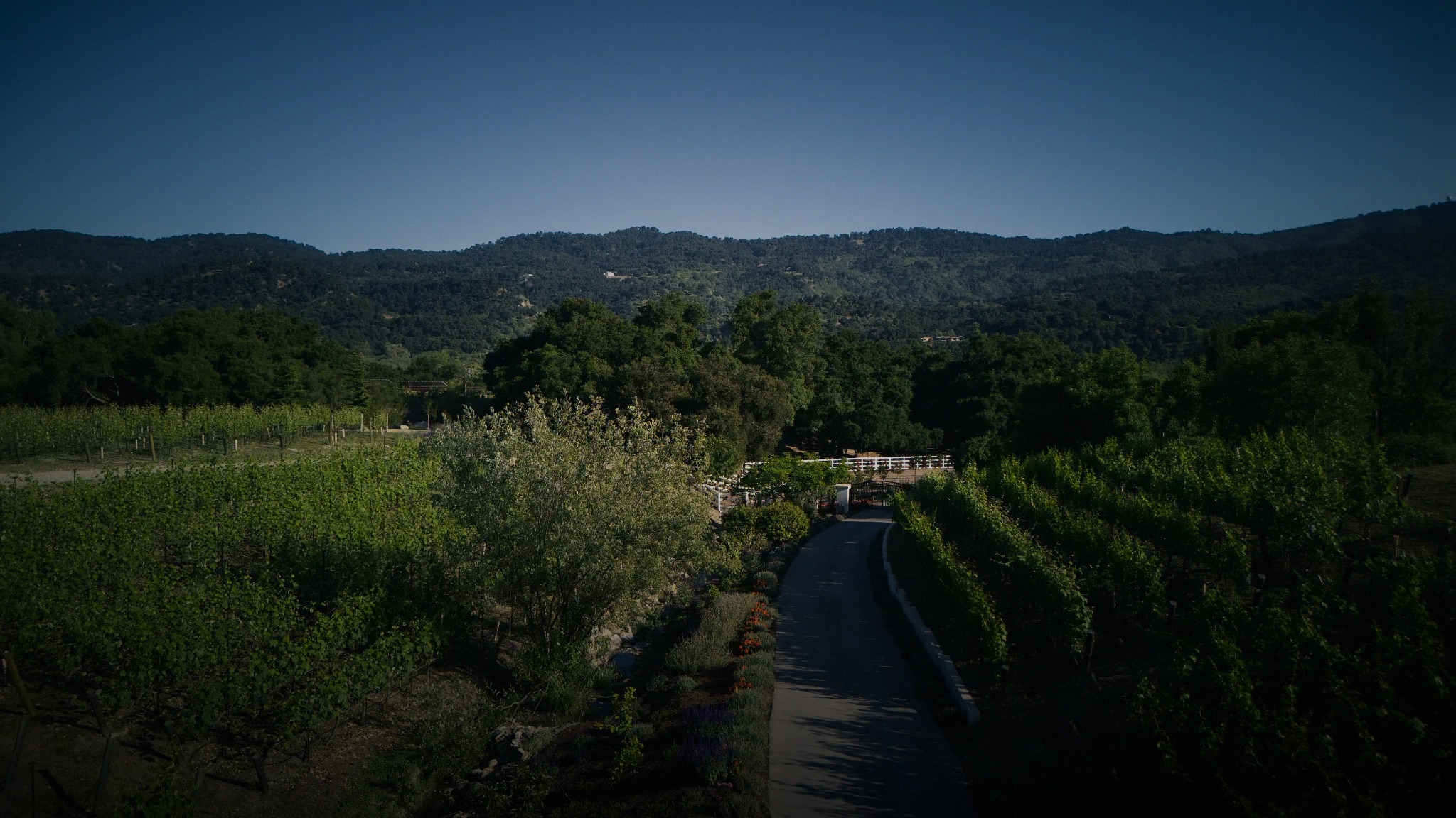 Casa Locé in Ojai, CA (5)