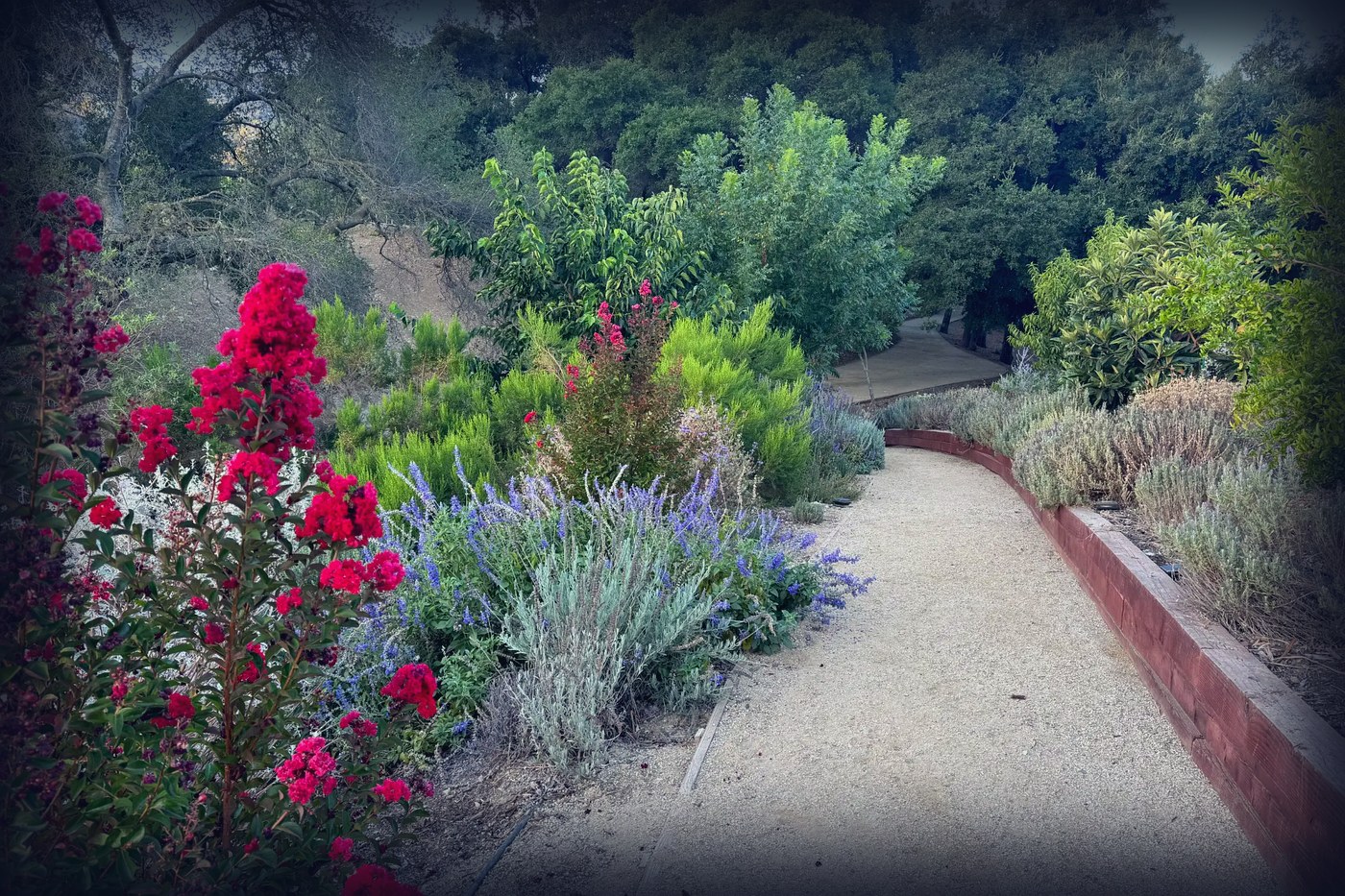 Casa Locé in Ojai, CA (6)