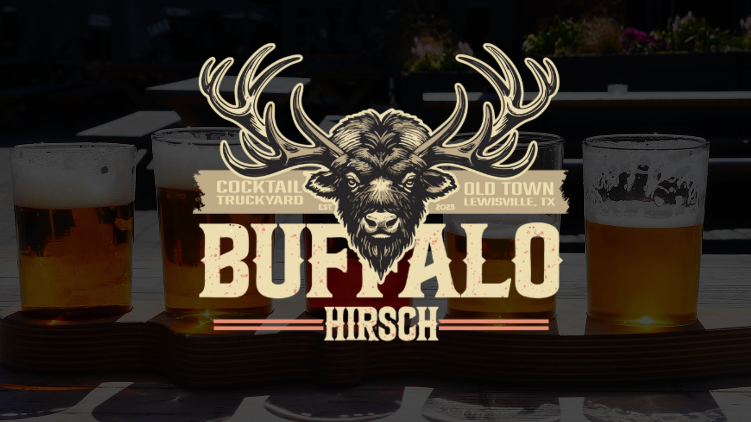 Buffalo Hirsch in Lewisville, TX (2)