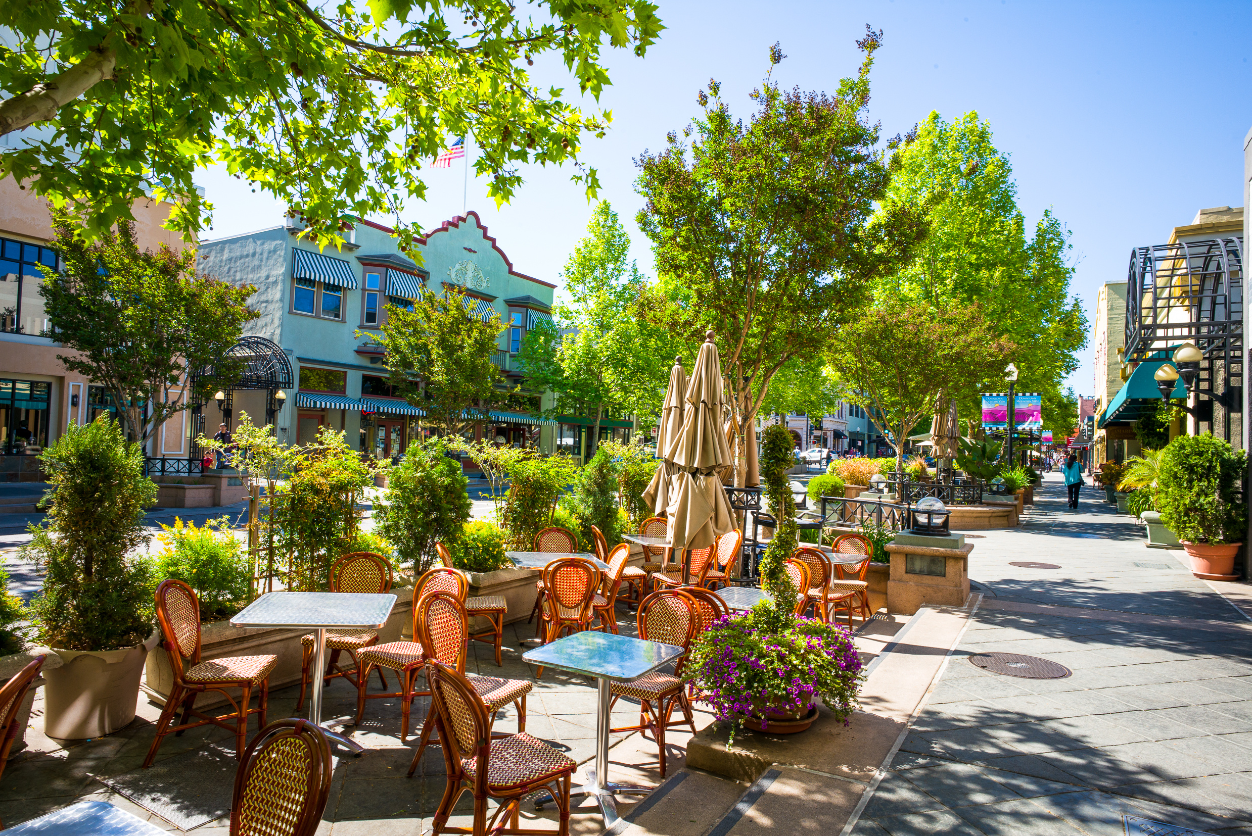 Shelly Potvin | Real Estate Agent in Los Altos CA in Los Altos, CA