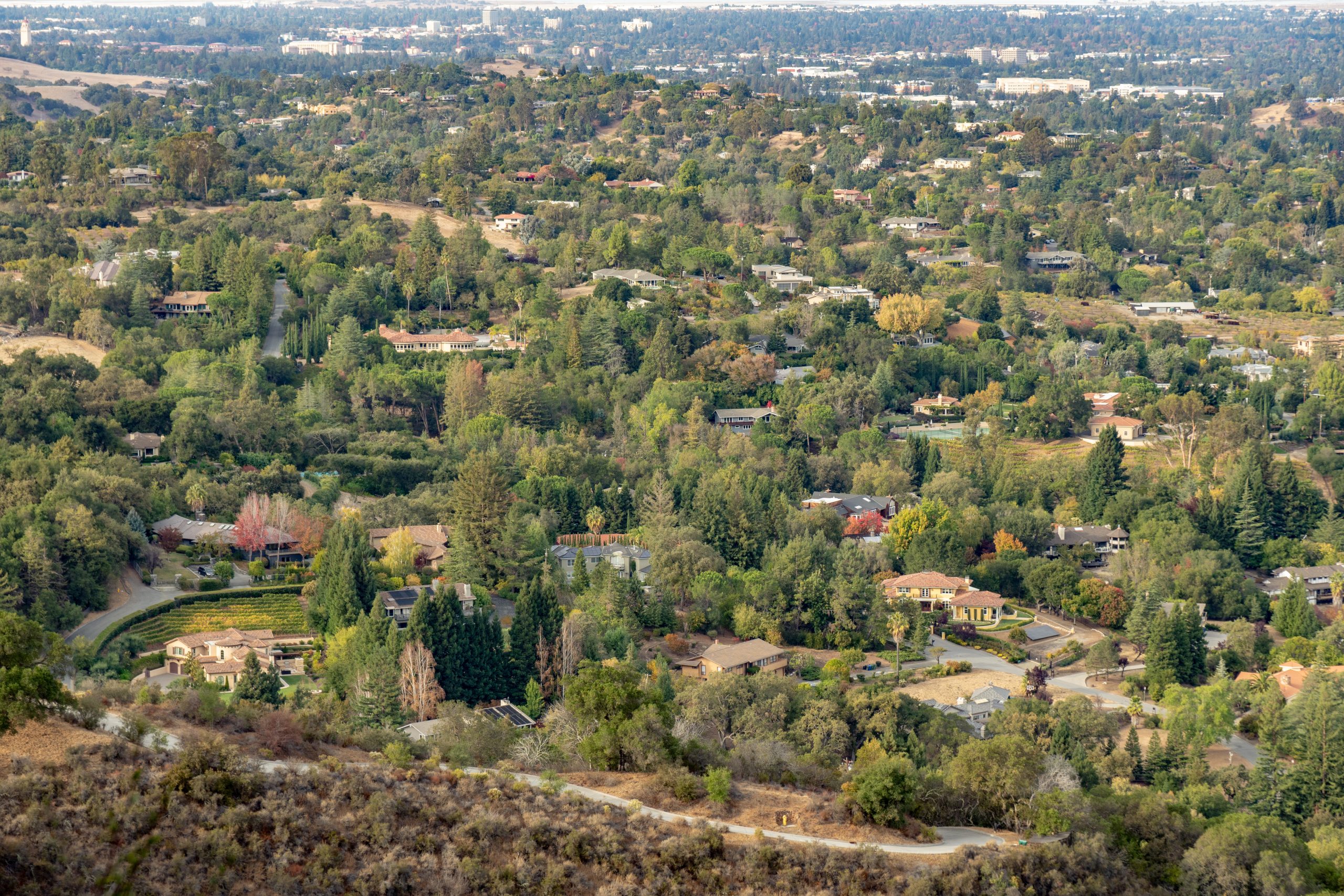 Shelly Potvin | Real Estate Agent in Los Altos CA in Los Altos, CA (2)