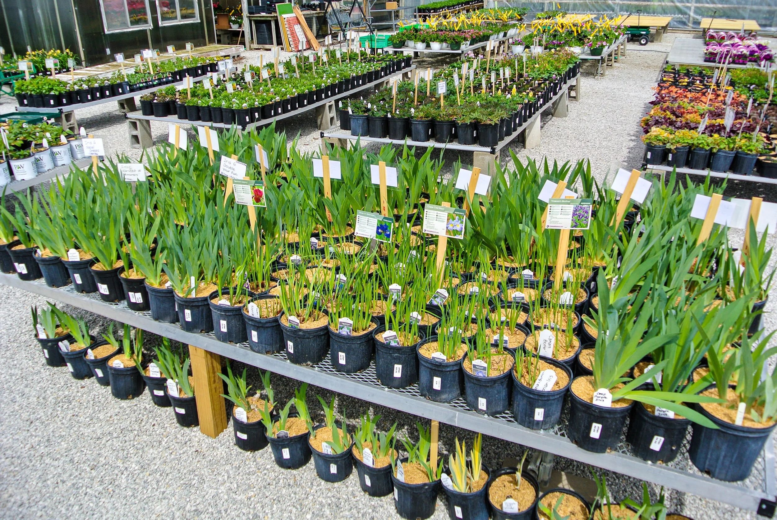 Clayton Garden Center in North Webster, IN (2)