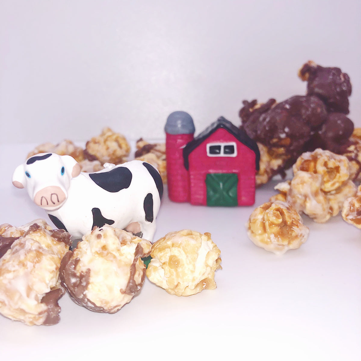 Poppy Popcorn Co in Rice Lake, WI (5)