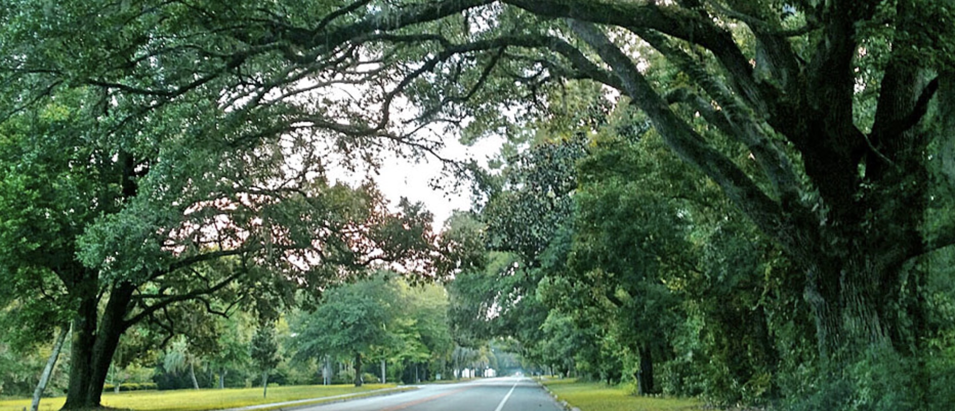 J.C. Penney Memorial Scenic Highway in Penney Farms, FL