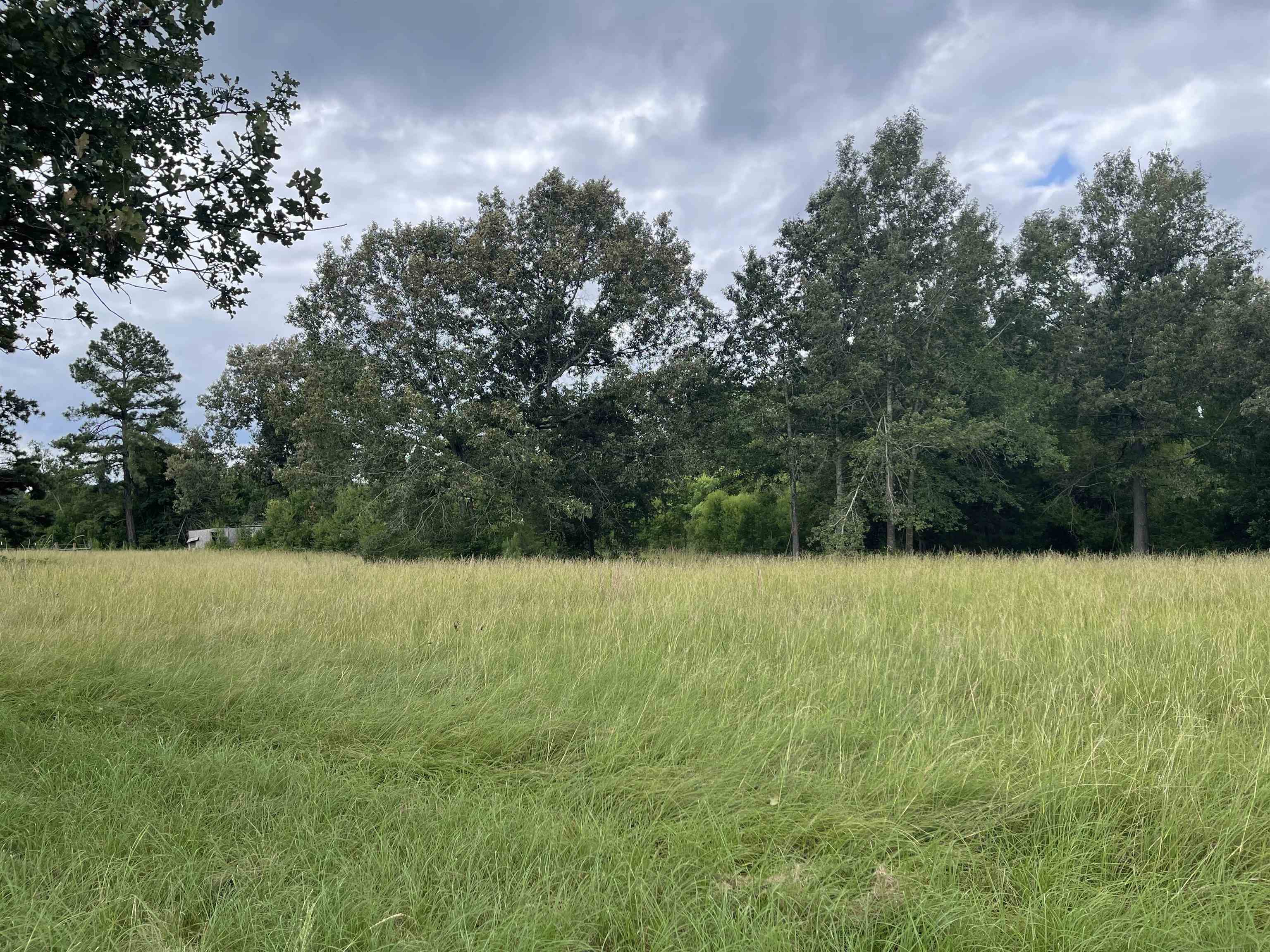 Country Roots Realty - East Texas in Tenaha, TX (5)
