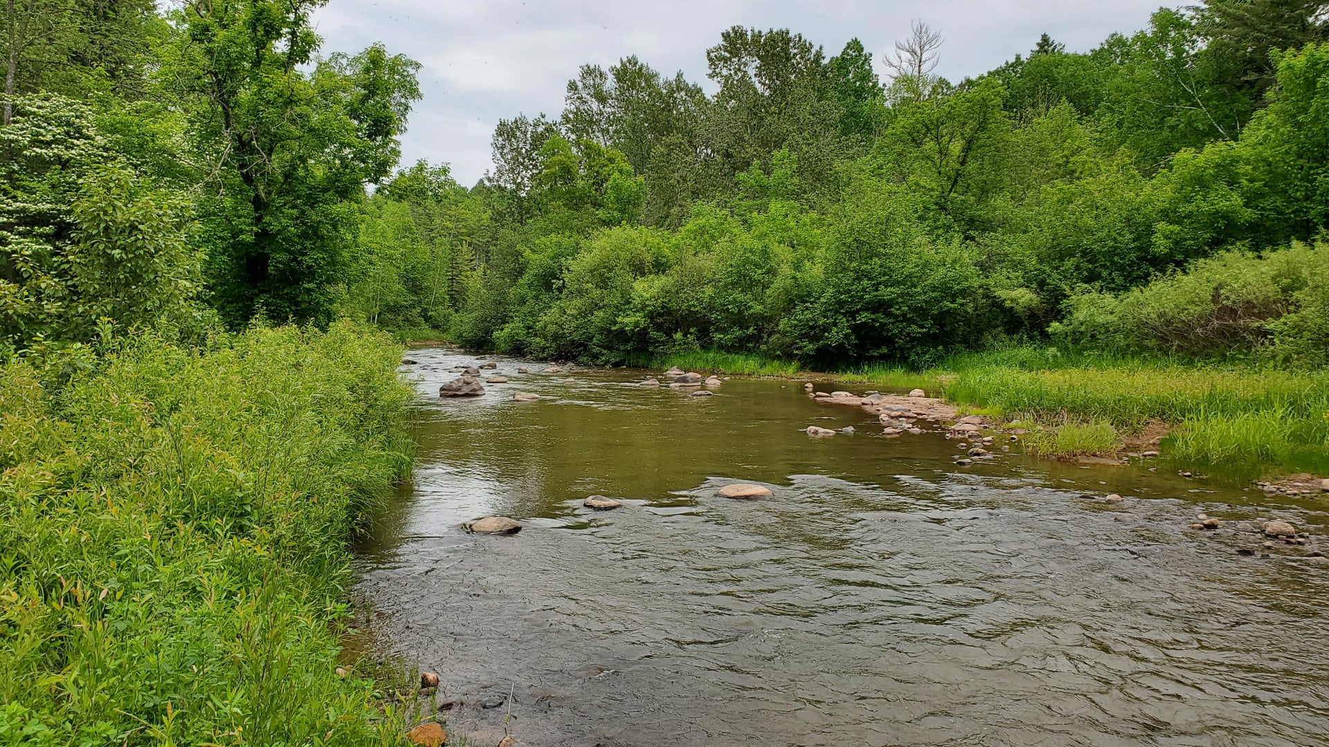 Michael Sauvola - Realtor in Brule, WI