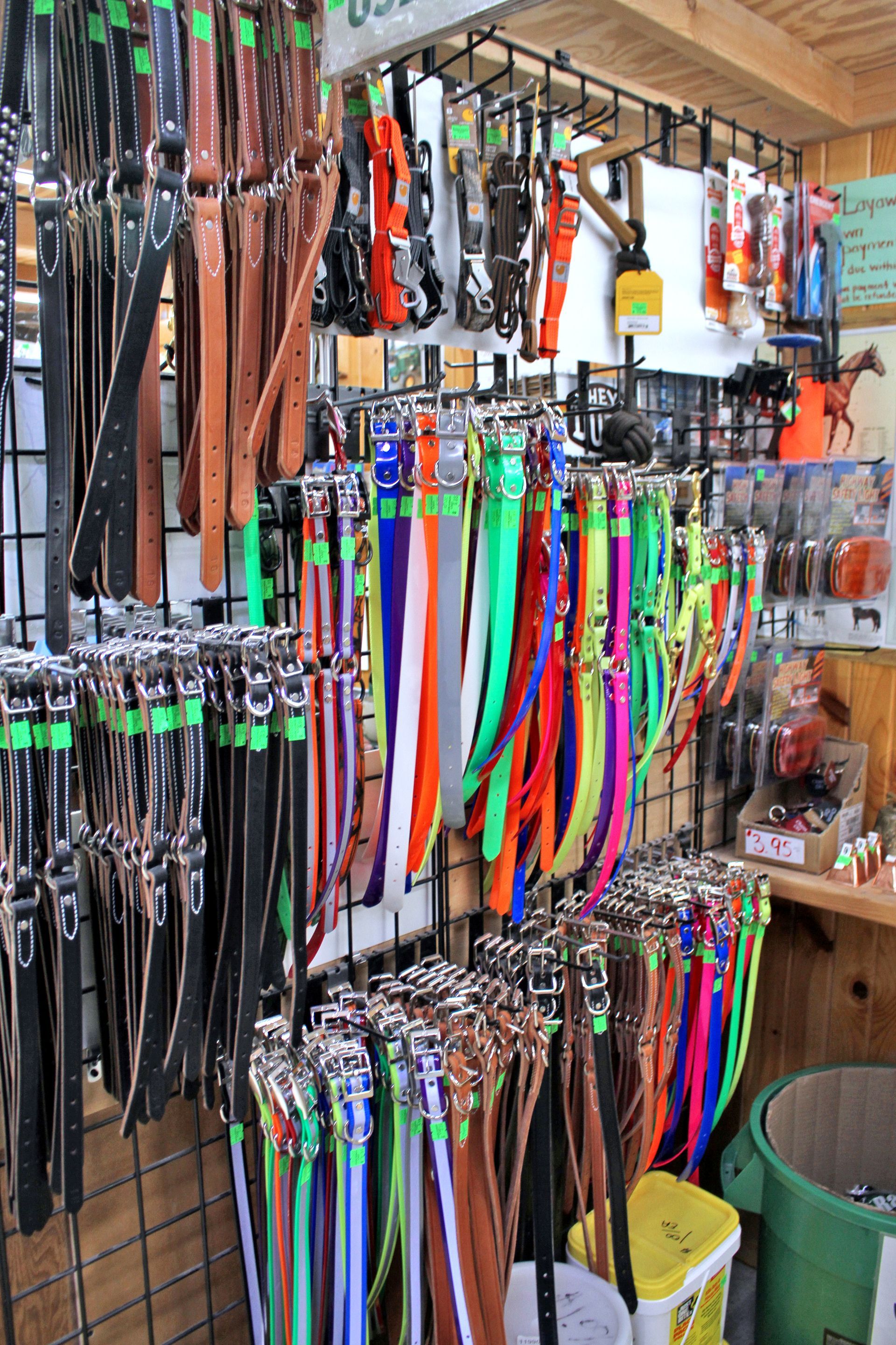 Charm Harness & Boot in Sugarcreek, OH
