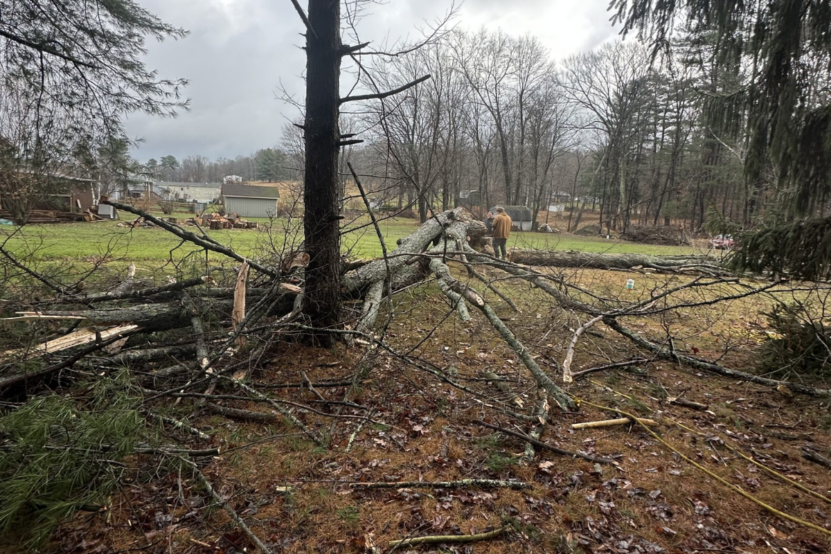 Krause Tree & Excavation LLC in Houtzdale, PA