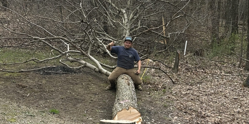 Krause Tree & Excavation LLC in Houtzdale, PA (3)