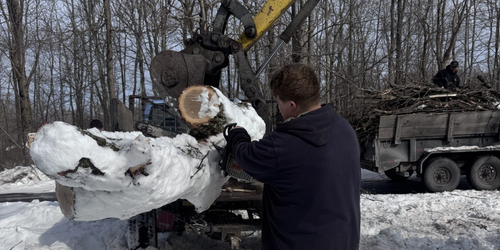 Krause Tree & Excavation LLC in Houtzdale, PA (4)