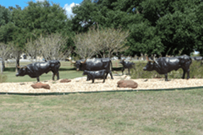 Matthew Realty in Yoakum, TX (3)