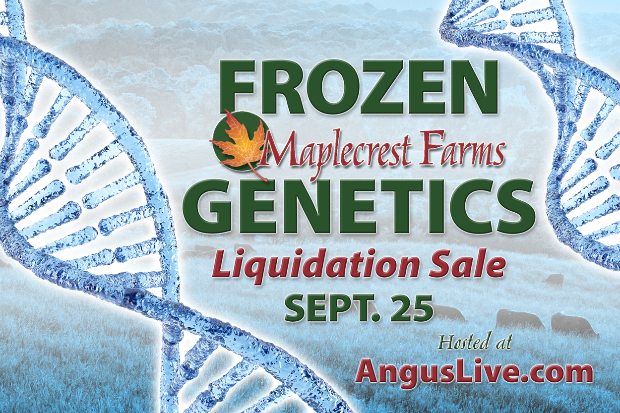 Maplecrest Farms in Hillsboro, OH