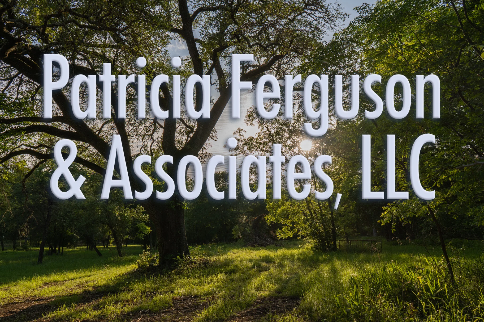 Patricia Coy & Associates in Clifton, TX