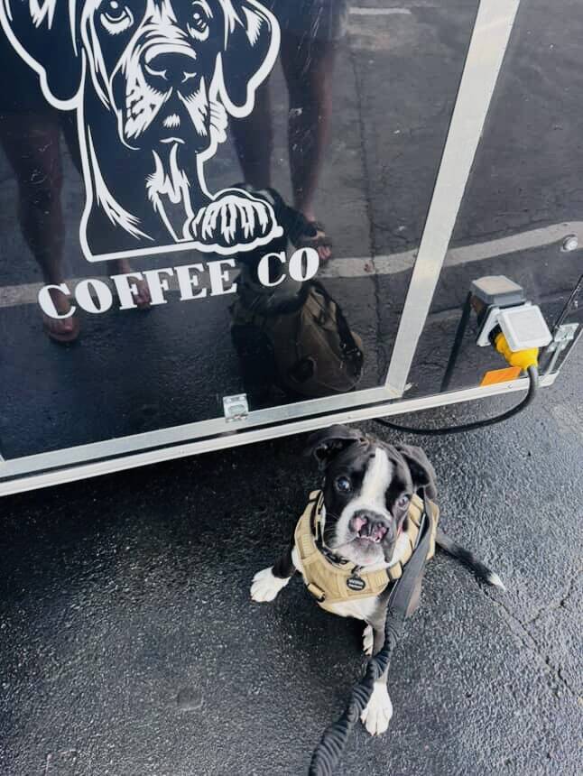 Big Pups Coffee Company in Oak Island, NC (5)