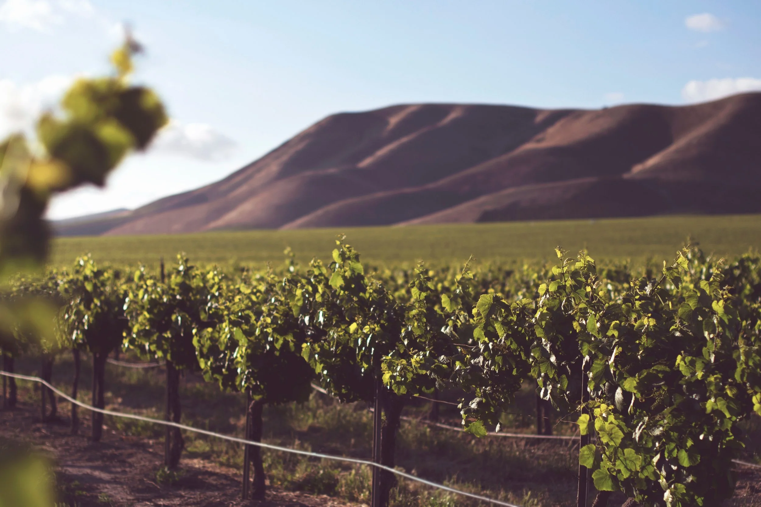 B & B Tax Preparation Services in Paso Robles, CA (2)