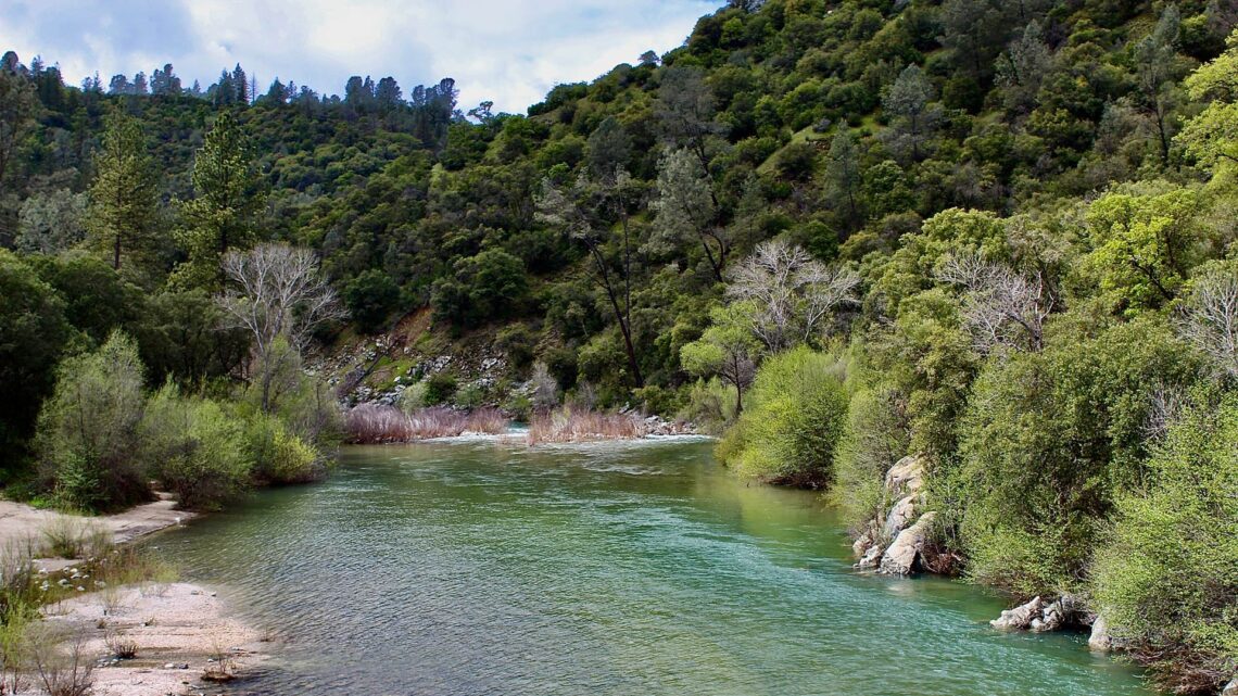 Ironwood Real Estate Group in Paradise, CA (2)