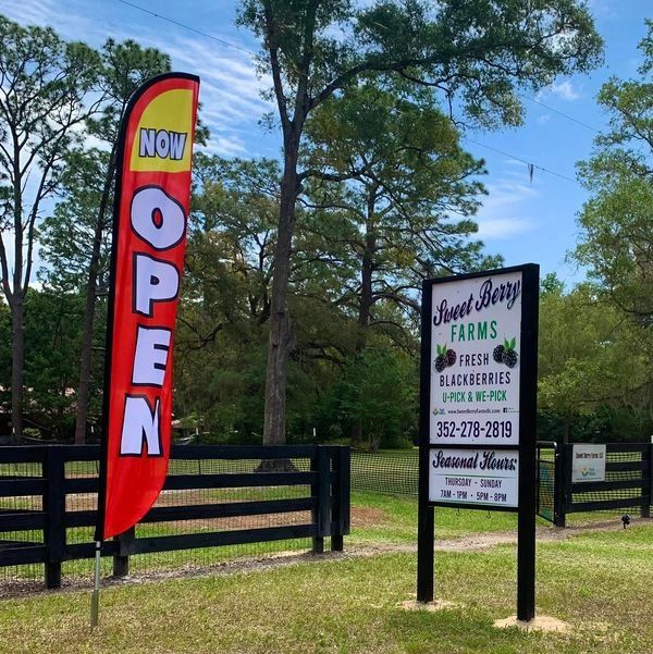 Sweet Berry Farms LLC in Williston, FL (2)