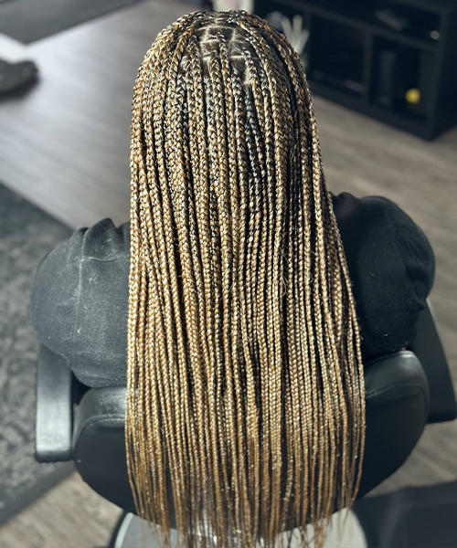 Lily Hair Styles in Tustin, CA (6)