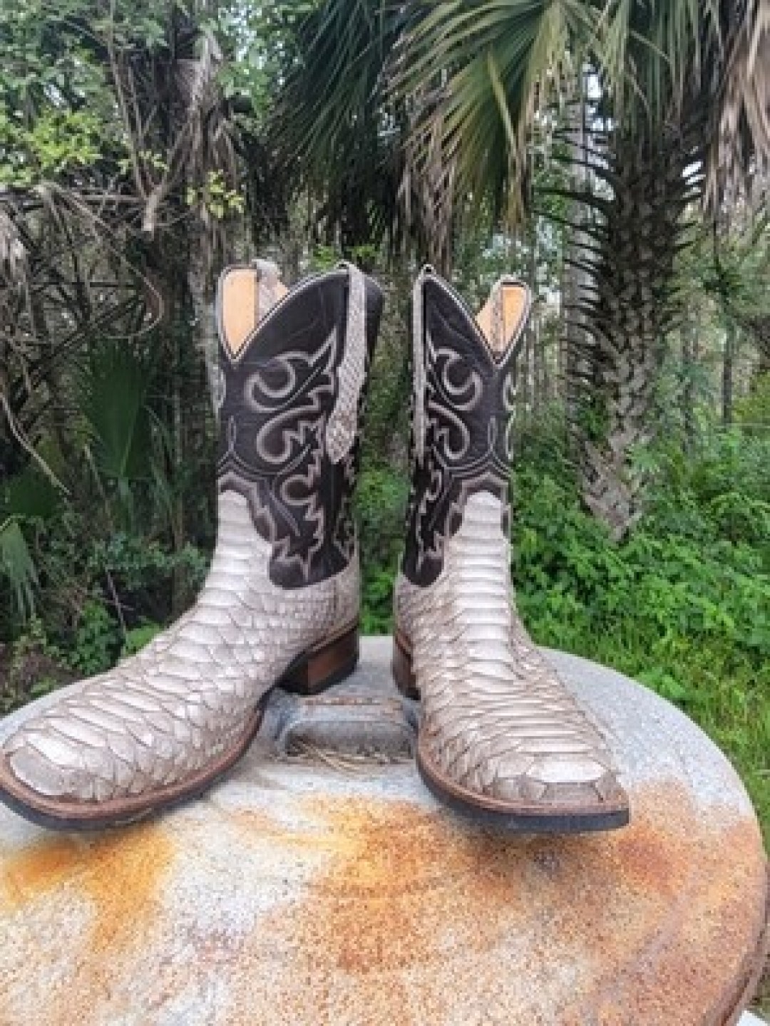 Wildman's pizza, pasta and pythons in Everglades City, FL