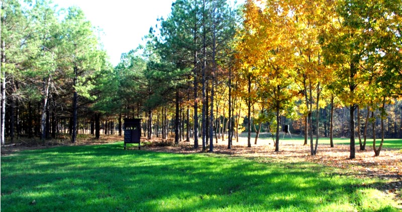 Wasden Realty in Louisville, GA (6)