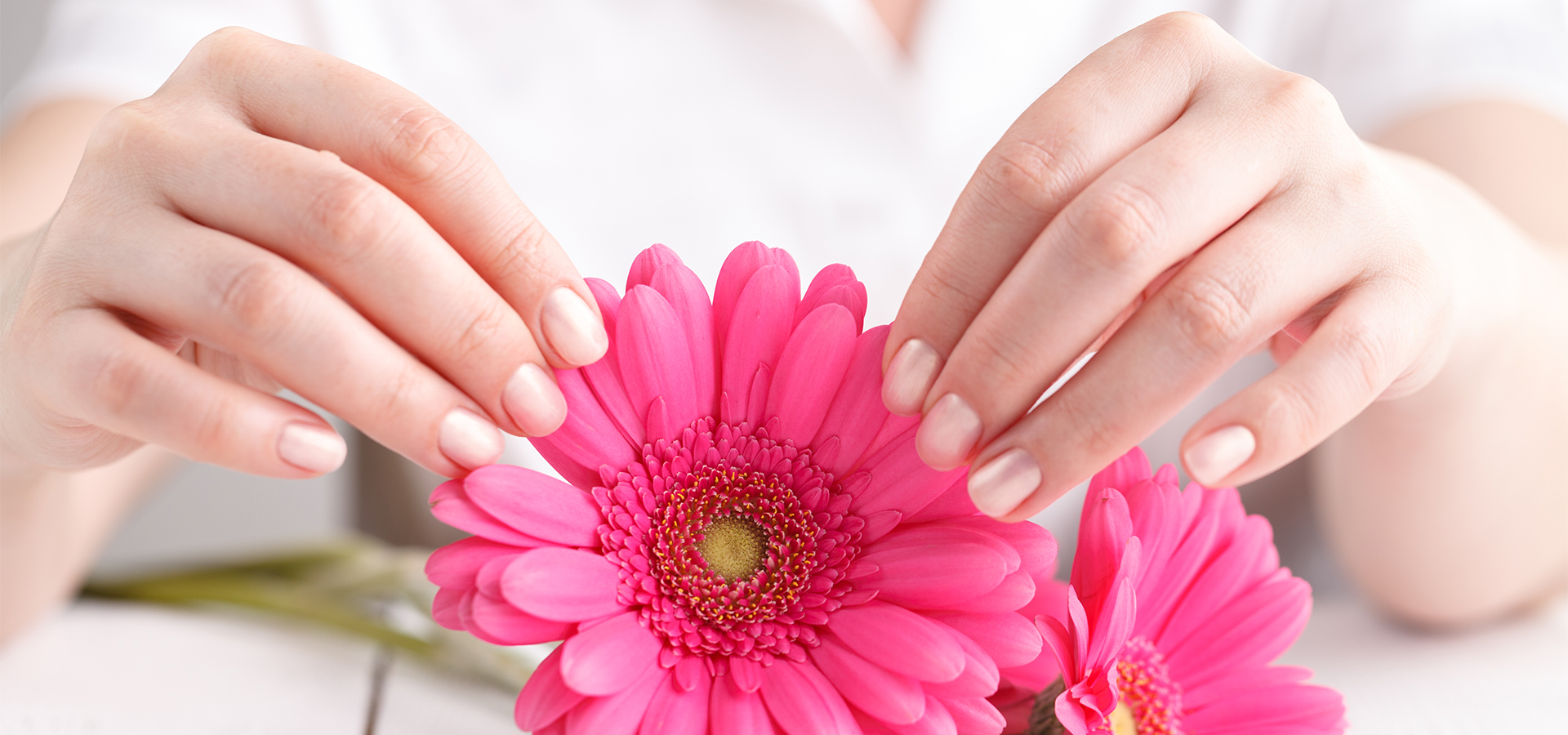 Deluxe Nails & Spa in Clinton, MS