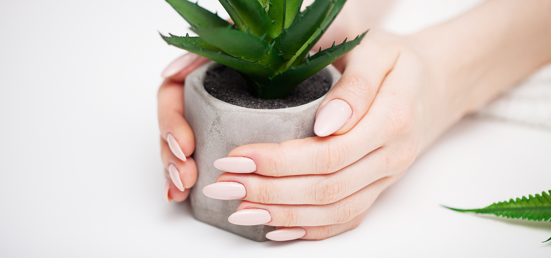 Deluxe Nails & Spa in Clinton, MS (2)